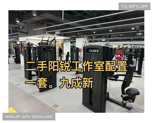 阳锐健身器材官网正品直销专业运动器械 阳锐健身器材官网正品直销专业运动器械